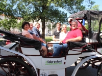 Stadtrundfahrt mit der e-Kutsche