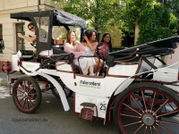 elektro-kutscheModellabholung