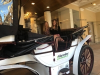 hotelabholungEfiaker